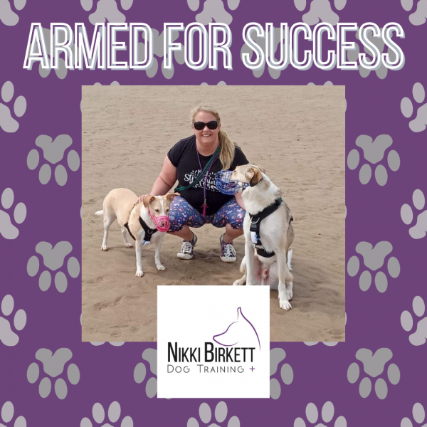 Armed for Success Reactive Course