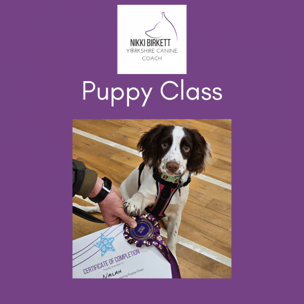 Puppy Class (Thursday) Thorpe Willoughby