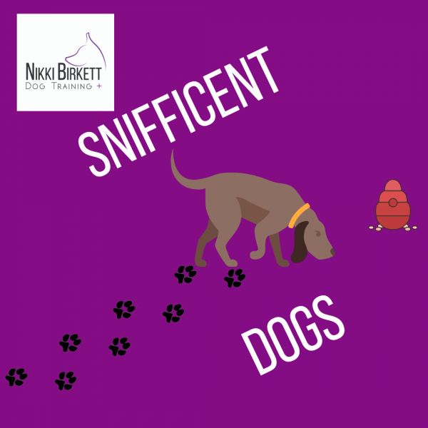 Snifficent Dogs Special